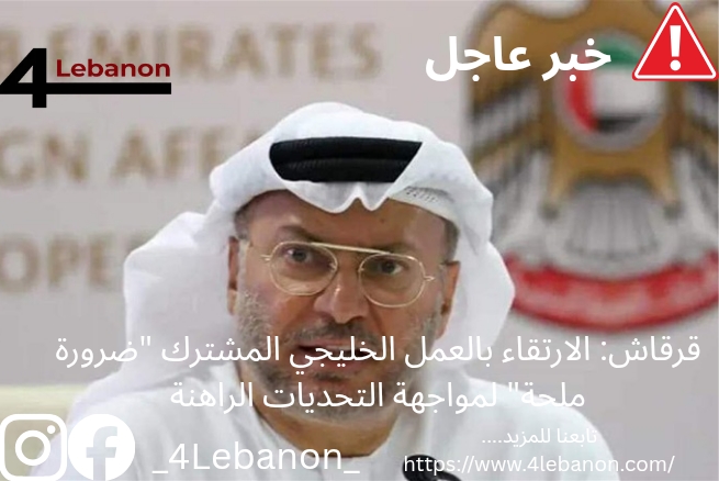 قرقاش: الارتقاء بالعمل الخليجي المشترك "ضرورة ملحة" لمواجهة التحديات الراهنة