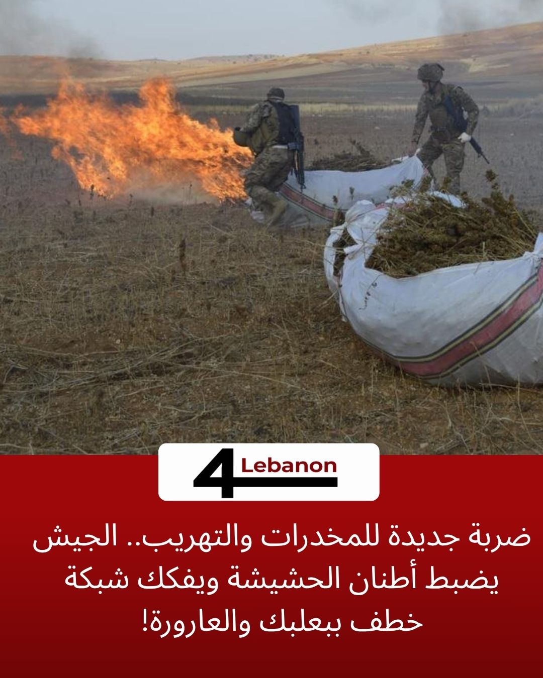 ضربة جديدة للمخدرات والتهريب.. الجيش يضبط أطنان الحشيشة ويفكك شبكة خطف ببعلبك والعارورة!